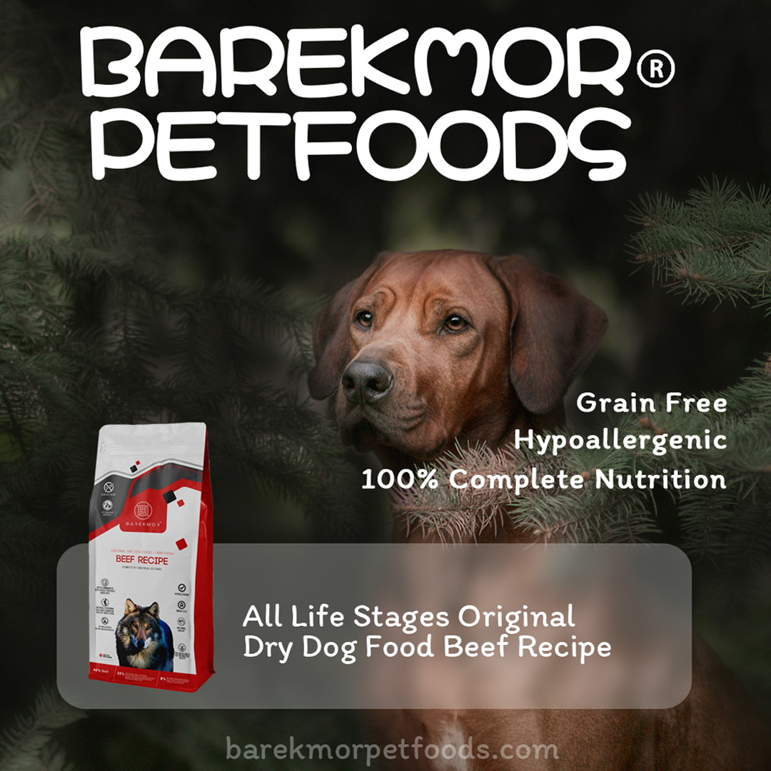 Check out our website for a variety of pet food recipes designed to keep your furry friend happy and healthy! Explore now!⁠
⁠
🌐 l8r.it/HVh4⁠

 #petfooduk #grainfree #grainfreepetfood #dogfood ⁠#barekmorpetfoods #PetParents #dognutrition#catfood  #cats