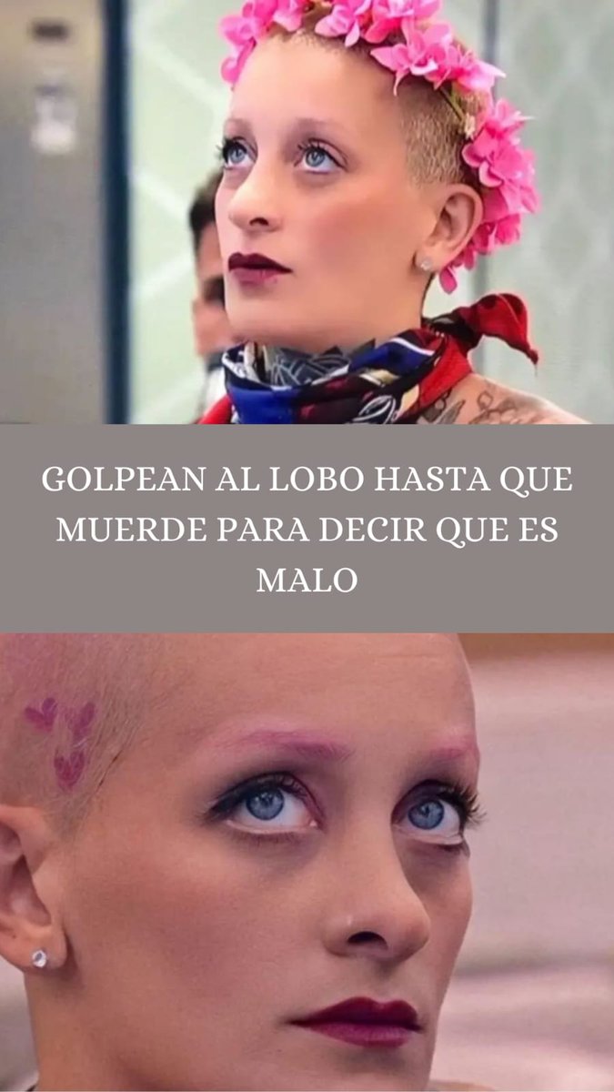 Esta imagen que está dando vueltas es taaan cierta. Si mostraran todo lo que dijo e hizo Mauro la historia sería diferente. Pero en este mundo aún machista la que siempre queda mal y como 'la loca' es la mujer que dice BASTA.

#GranHermano #GranFuria