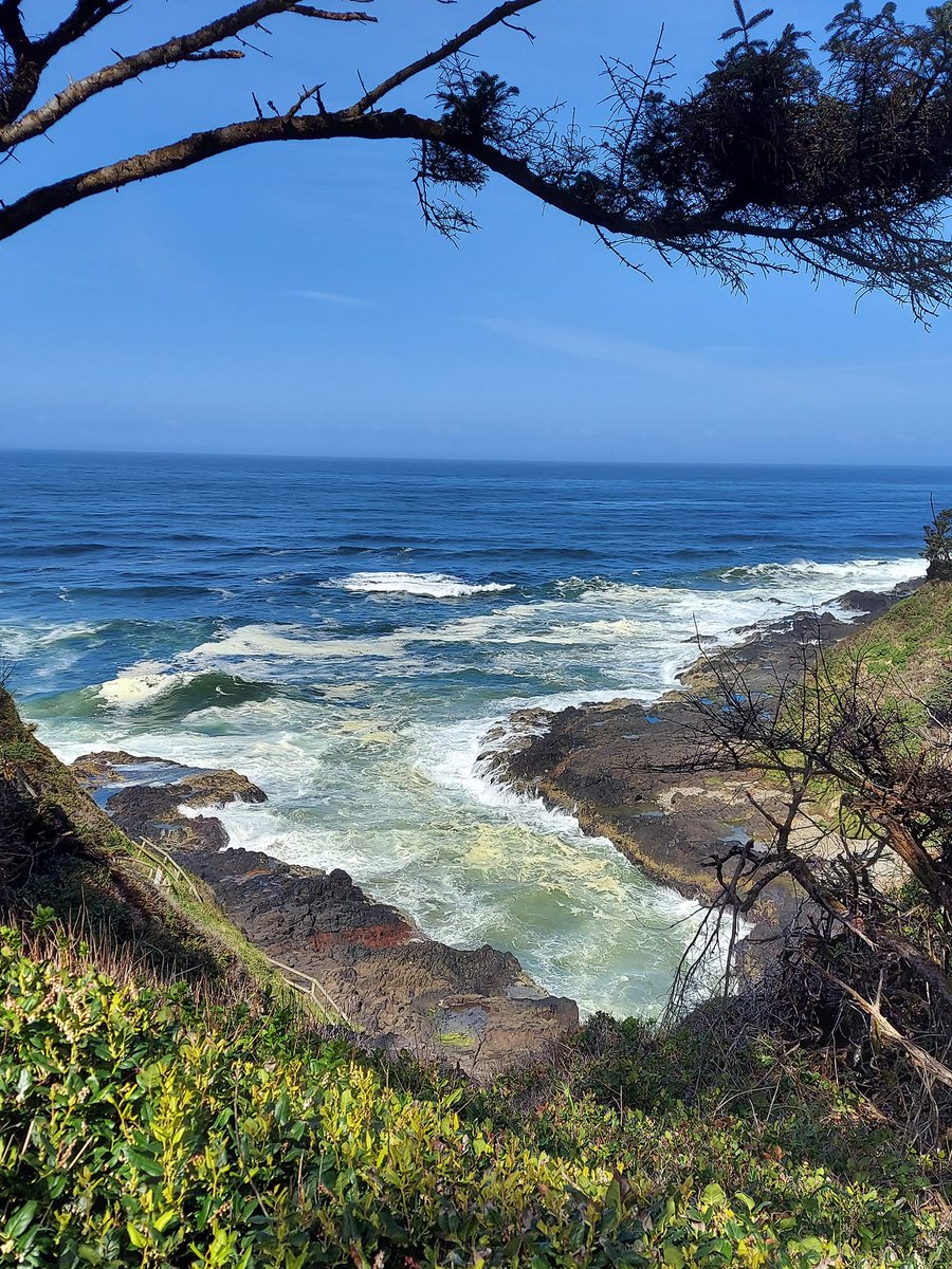 Oregon coast. 🌊
Photo by Danelle Douglas.
#Oregon #coast #nature #NaturePhotography #NatureBeauty #NatureLover #WeAreNature #photooftheday #photographer #photo