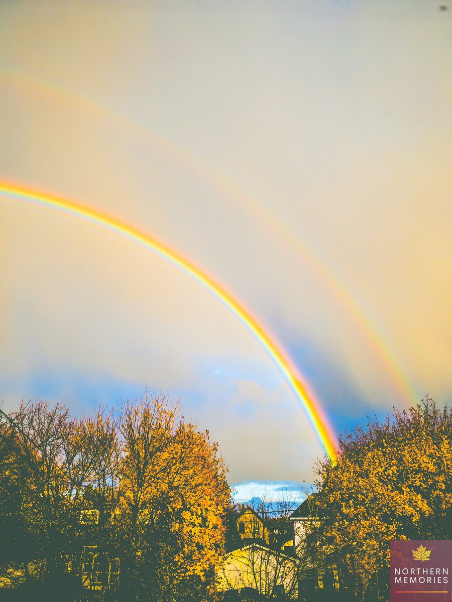 Good afternoon Twitter fam!
Happy Monday to all my nature and photography lovers 😻✌️🇨🇦

QP a photo depicting patterns.

Here’s mine: a repeating rainbow 🌈 🌈

#Patterns #NaturePhotography #DoubleRainbow #canada #ontario #photooftheday #wow #rainbows #repeatingPattern #nature 🌱