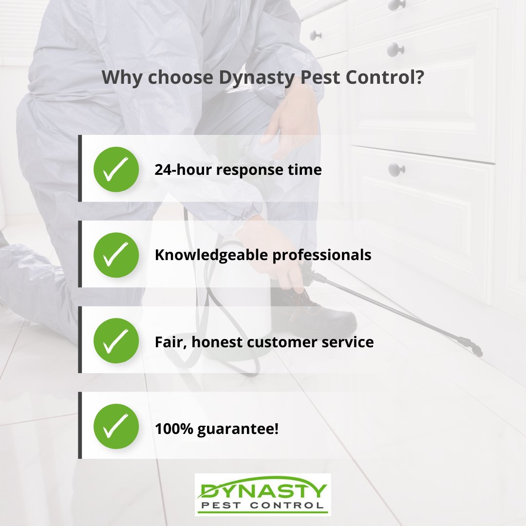 Why choose Dynasty Pest Control?

✔ 24-hour response time
✔ knowledgeable professionals
✔ 100% guarantee!

At Dynasty Pest Control, providing prompt and reliable pest control service is our passion.

Request a service today. 
dynastypest.com

#WaxahachieTX