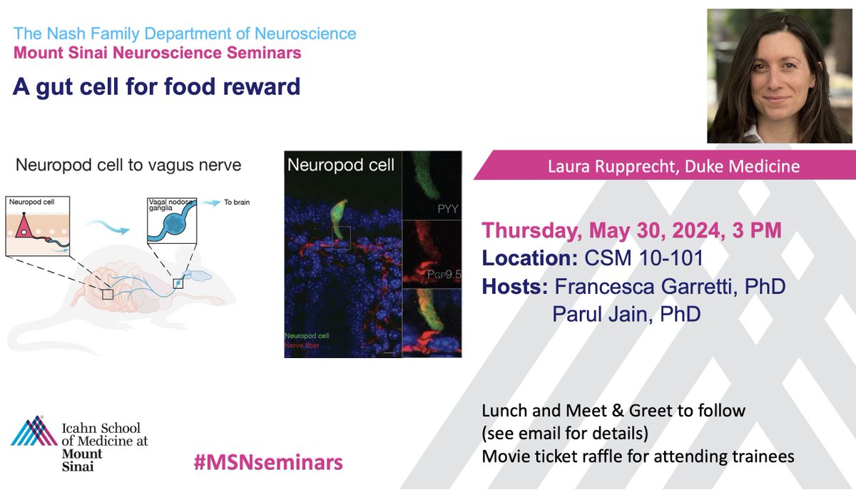 COMING UP! On Thurs, 5/30, #MSNSeminars is EXCITED to welcome @dukemedicine's Dr. Laura Rupprecht @rupthescientist when she presents “A gut cell for food reward'. Hosted by @FGarrettiPhD & Dr. Parul Jain! Learn More about Dr. Rupprecht & her work 👉medschool.duke.edu/news/rupprecht…
