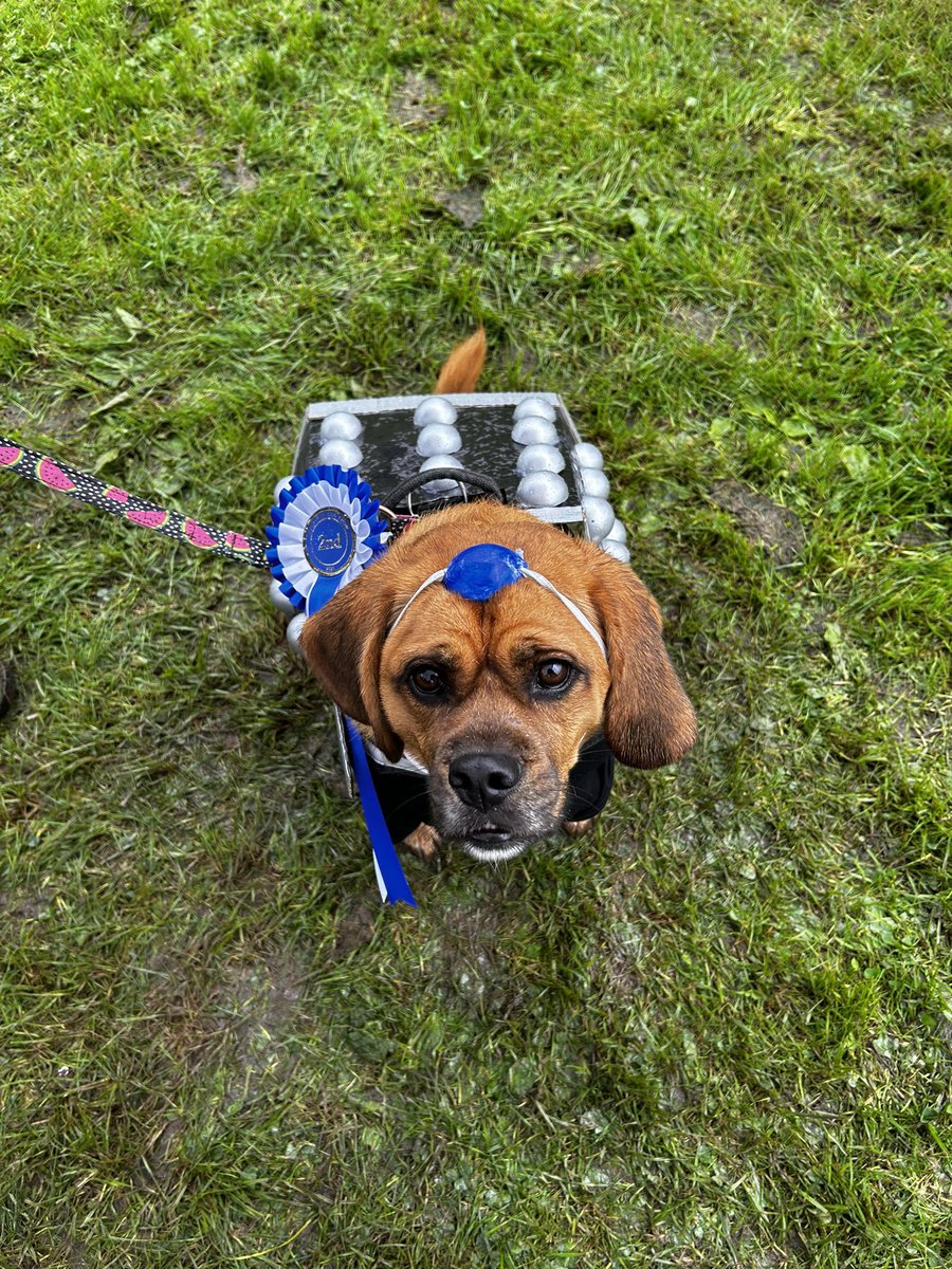 Grace_Smedley's tweet photo. Bruno coming second as Davros in the Best Dressed Dogs round (theme is Dr Who) at the @folpe17 May Fair Dig Show
#NotATory https://t.co/tjwfZuPdDb