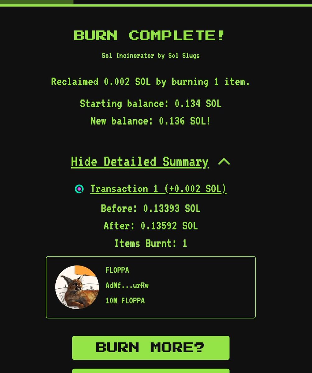 It is 3rd $FLOPPA Burning we will have more on the way to the 10 Million Market Cap

$SOLANA $SOL #SOLANA #SOL #MEMETOKENS