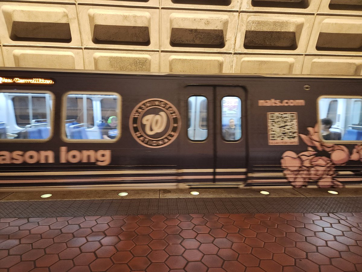 Bad pic of the nats cherry blossom metro train