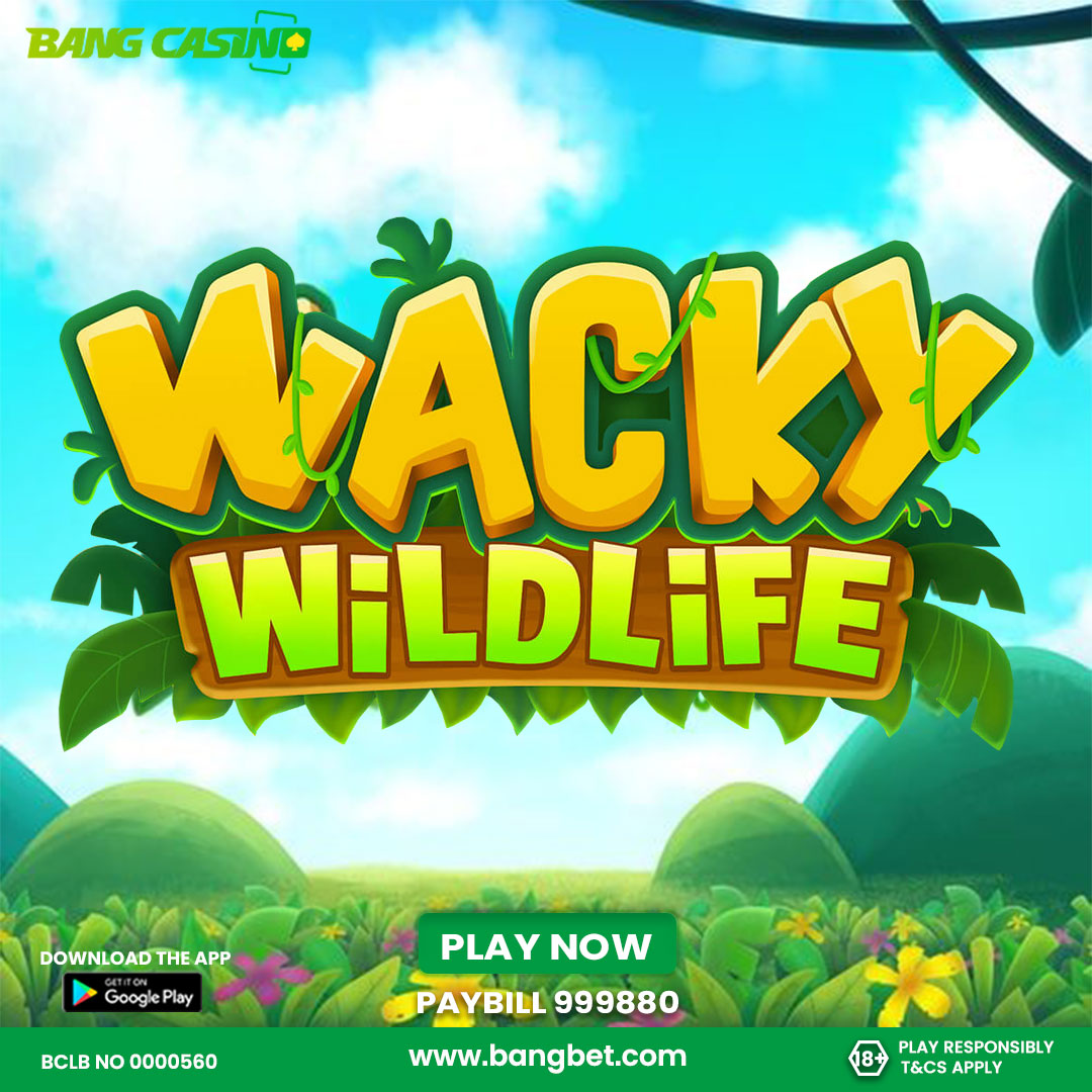 Play Wacky Wildlife only on Bangbet. Easy money made while having fun Join via Bangbet.com and promocode MUM254