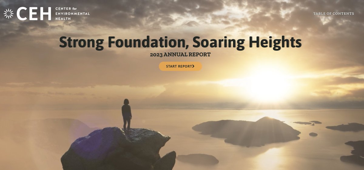 Our 2023 Annual Report is here! Read all about our big wins, including: ✅ Stopping the sale of lead & cadmium-tainted jewelry at Urban Outfitters ✅ Taking legal action against companies for discharging PFAS into drinking water sources ✅ and more! 2023annualreport.ceh.org