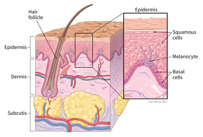 What Is Melanoma Skin Cancer?

cancer.org/cancer/types/m…

#MelanomaDay #Melanoma #SkinCancer #Cancer #CPK #CanadianPharmacy