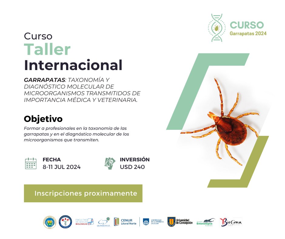 #SomosCIZ
#EventoCientífico
#CIZ2024 

El CIZ organiza el Curso - Taller Internacional: GARRAPATAS: TAXONOMÍA Y DIAGNÓSTICO MOLECULAR DE MICROORGANISMOS TRANSMITIDOS DE IMPORTANCIA MÉDICA Y VETERINARIA.

𝐌𝐚́𝐬 𝐢𝐧𝐟𝐨𝐫𝐦𝐚𝐜𝐢𝐨́𝐧👇
bit.ly/3Qy7TNm