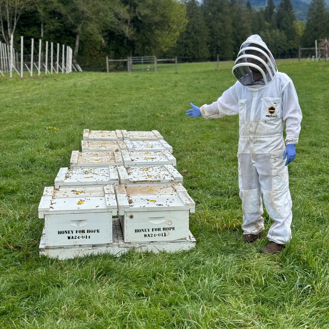 The last few weeks have been crazy busy! Here we took some bees to a local apple orchard! It's exciting to bring our bees to farms where they can pollinate the crops and help local farmers have better harvests. Stay tuned for more on our bee-autiful bees!
#Beekeeping #Pollination