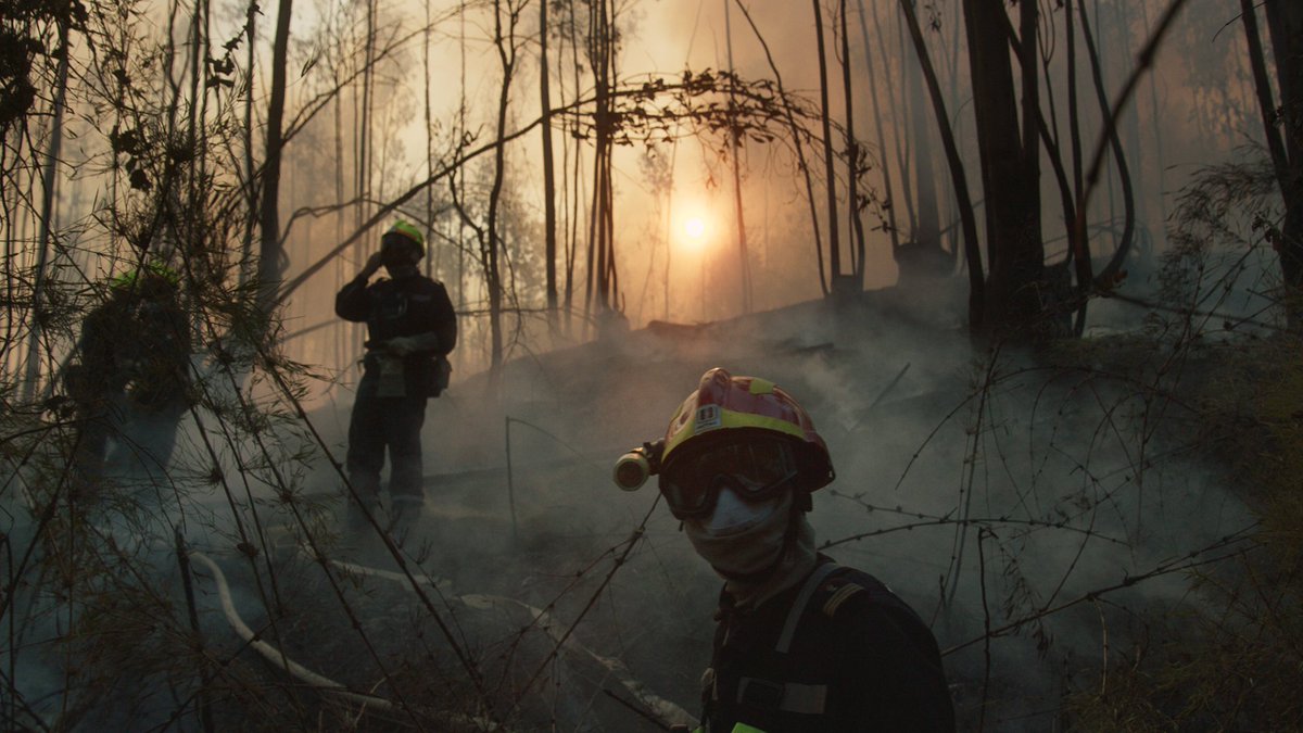 Nicolás Molina’s astounding documentary drops the viewer in the fiery port city of Valparaíso, Chile and observes a pack of determined volunteer firefighters as they band together to combat turbulent wildfires ravaging the city. tribecafilm.com/films/piropoli… #Tribeca2024