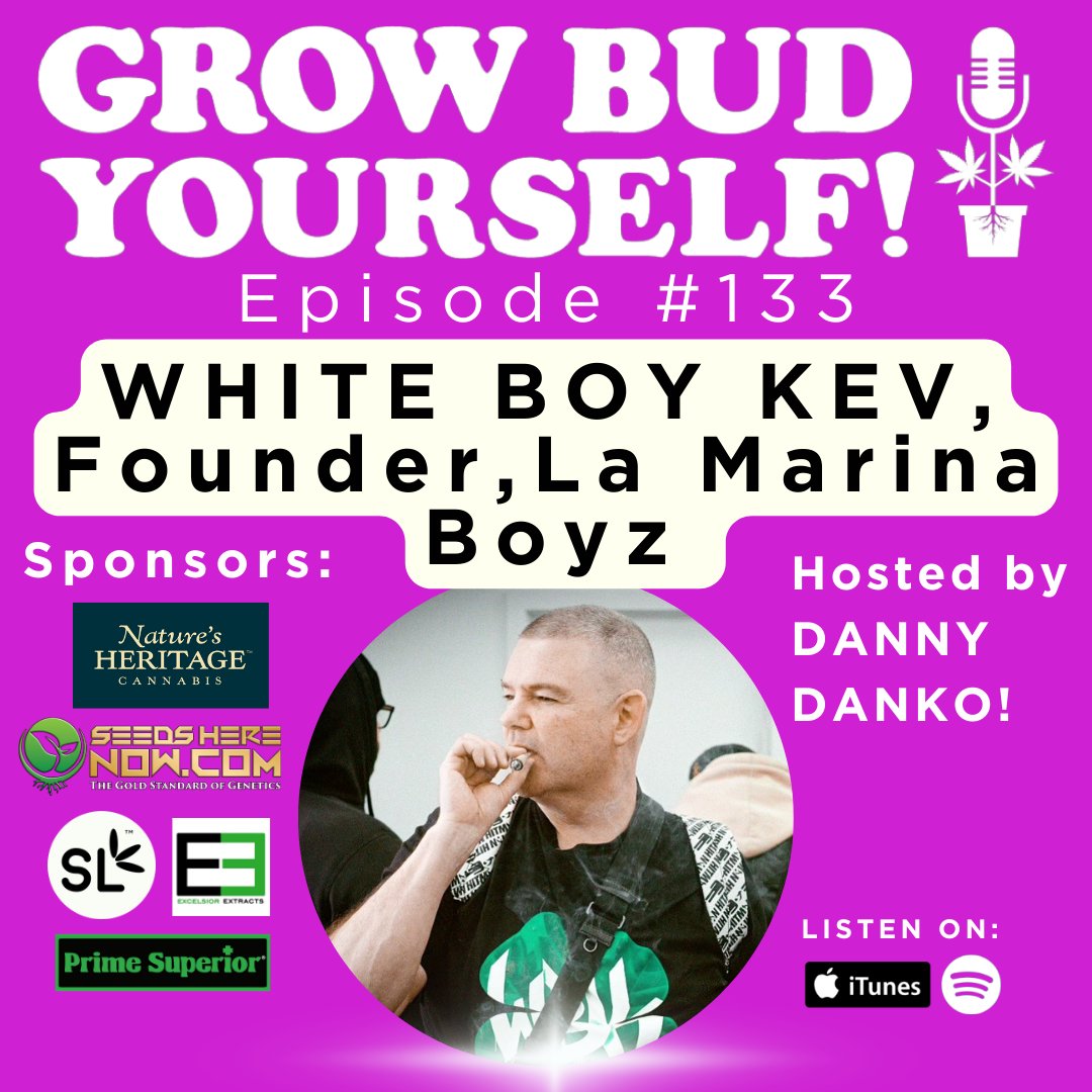 Episode 133 of @GrowBudYourself features guest #WhiteBoyKev founder of #LaMarinaBoyz who details his early life as a dealer in Washington Heights, the history of Haze & the transition from legacy to legal in NY. Plus Choosing & Ordering Seeds and Grow Q&A: podcasts.apple.com/us/podcast/gro…