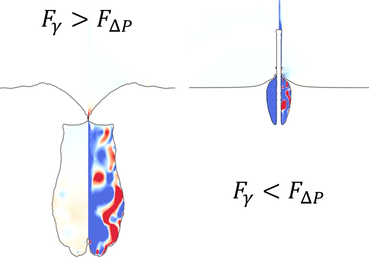 Our latest research, born from the work of  Thijmen Kroeze's master thesis, on the microfluidic jet impact on deep pools is now out <a href="/JFluidMech/">Journal of Fluid Mechanics</a>! Paper in collaboration with <a href="/df_rivas53/">David Fernandez Rivas</a>.

Link to paper:doi.org/10.1017/jfm.20…
<a href="/iimunam/">Instituto de Investigaciones en Materiales UNAM</a> <a href="/UNAM_MX/">UNAM</a> <a href="/utwenteEN/">University of Twente (inactive)</a> 
#FluidDynamics #Research