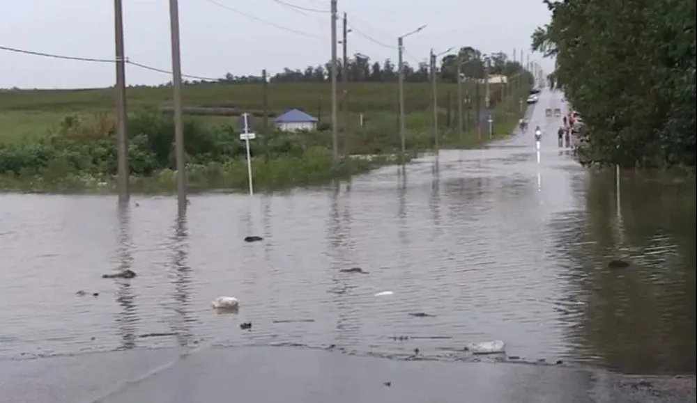 Caminería rural en estado de emergencia. Todas las catástrofes. Todas. Y aún así el pais crece con este #GobiernoSinRumbo #NiUnPasoAtrás #UruguayParaAdelante
elobservador.com.uy/nota/gobierno-…