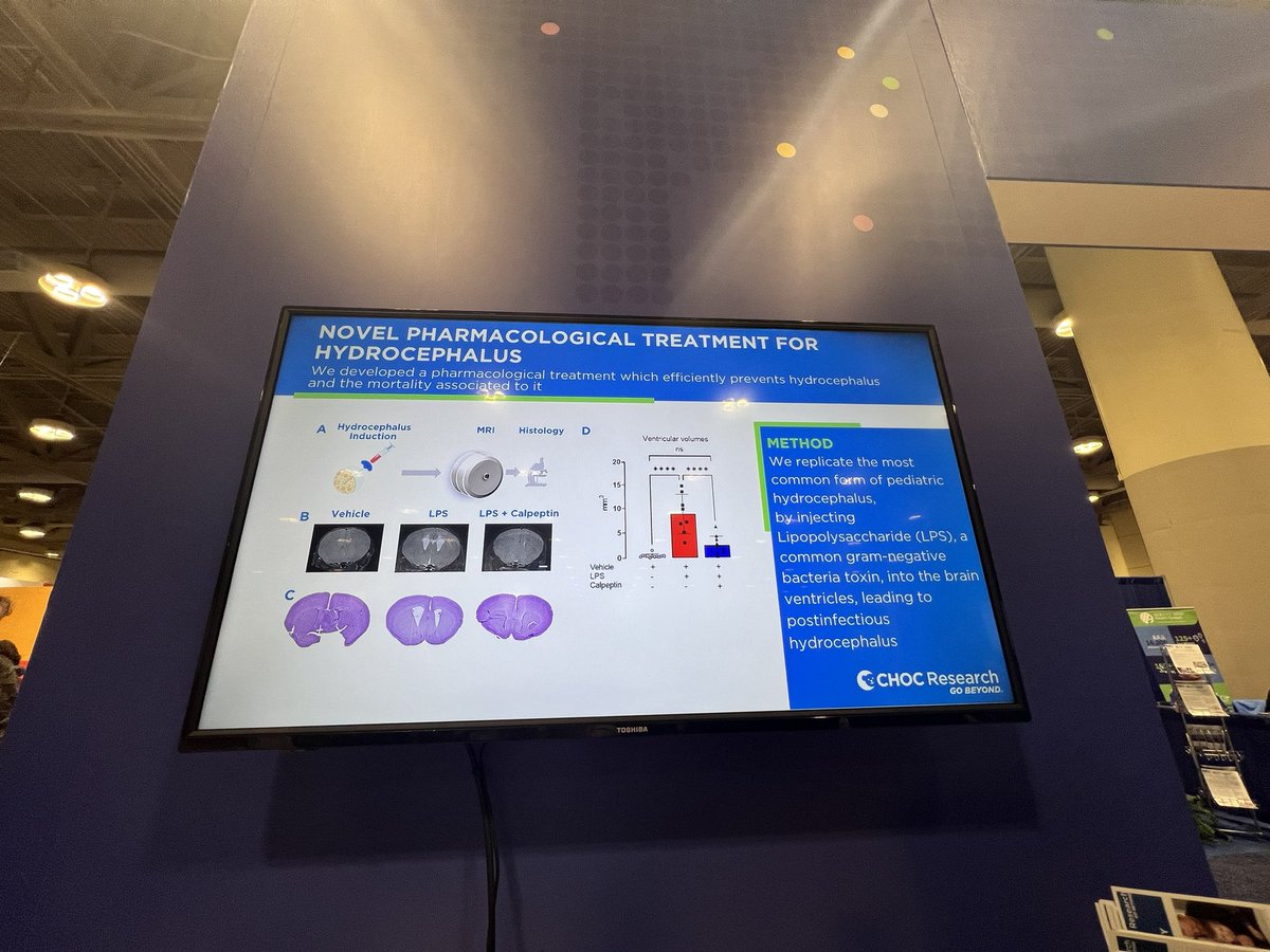 Amber McKenna, MD 🟧🎀💖⚜️✨ tweet media