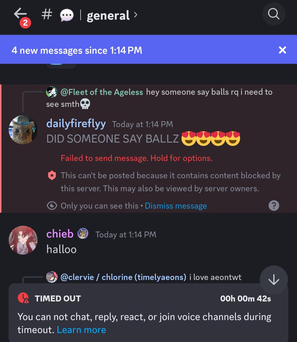THEY BLOCKED THE WORD BALLZ IN THE PLANAR ORNAMENT DISCORD SERVER BOYCOTT NOW