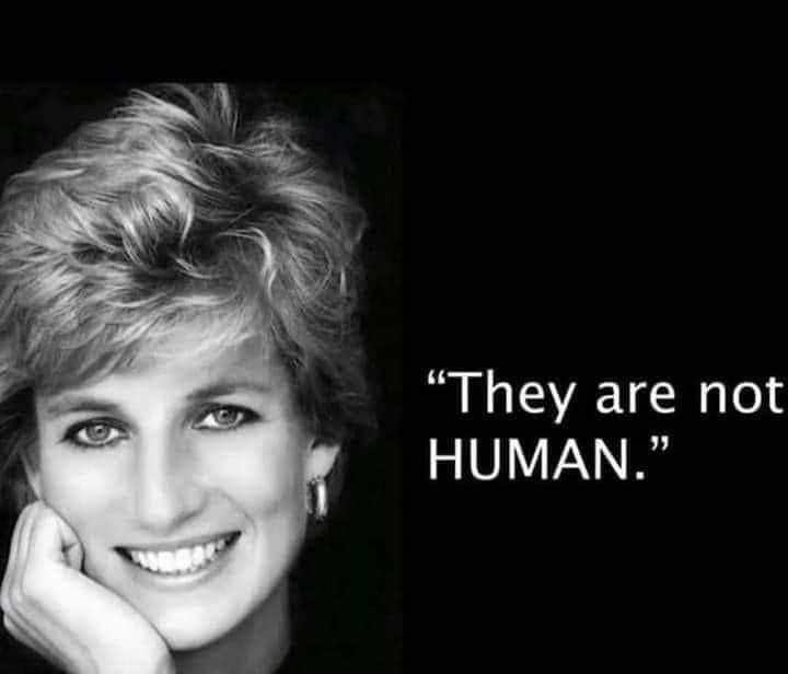 WHAT DO YOU THINK PRINCESS DIANA MEANT BY THIS?