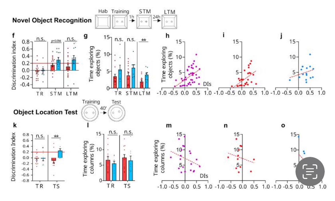 Our last work #JNeurosci @SfNJournals revealing transgenerational transmission of exercise 🏃🏻‍♀️effects on brain 🧠 & potential mediating microRNAs 🧬. Sedentary grandson’s behavior and brain changes induced by grandparents moderate exercise 🐁 @InstitutoCajal @CSICdivulga @SENC_