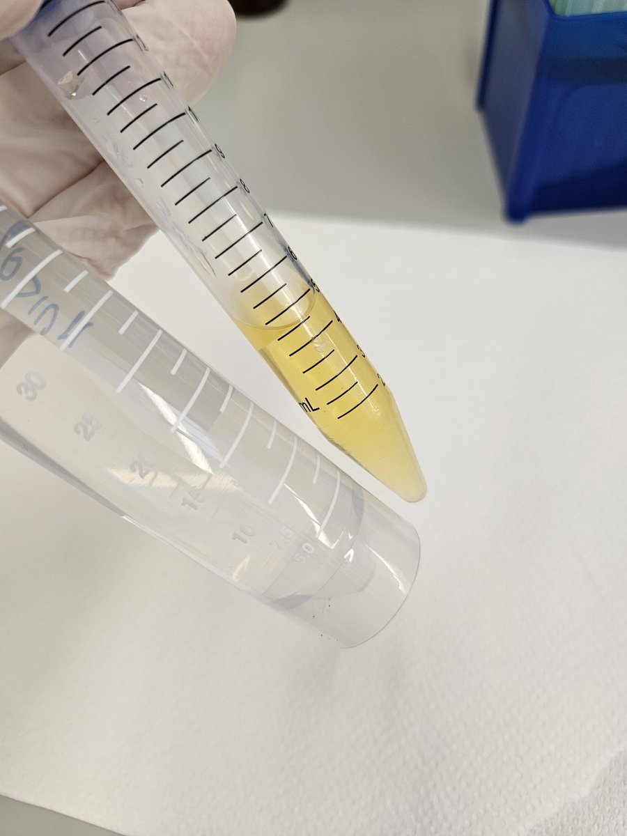 Different shades of sodium acrylate 

It's always a surprise to discover what the new lot will look like 🤔🧐

#UExM #ExM