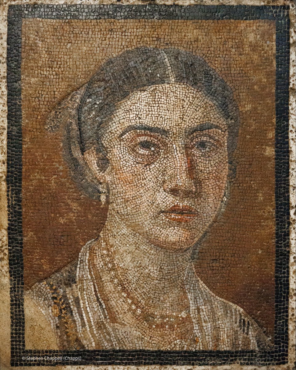 For #MosaicMonday, a rarity in the Roman world: a mosaic portrait. Made of extremely small tesserae - opus vermiculatum - it depicts a staid young woman, almost matronly. She was found in the floor of a cubiculum (bedroom) of the Casa della Matrona Ignota, #Pompeii.  1/

📸 me