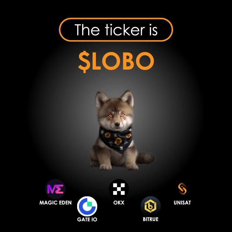 LOBO•THE•WOLF•PUP GIVEAWAY! Prize: 25,000 @lobothewolfpup Rune Token 🦊 To Join: 1. Follow @runes_ga & @ordinals_ga 2. Like & RT 3. Tag 2 frens Winner will be announced in 72hrs. #Runes $LOBO