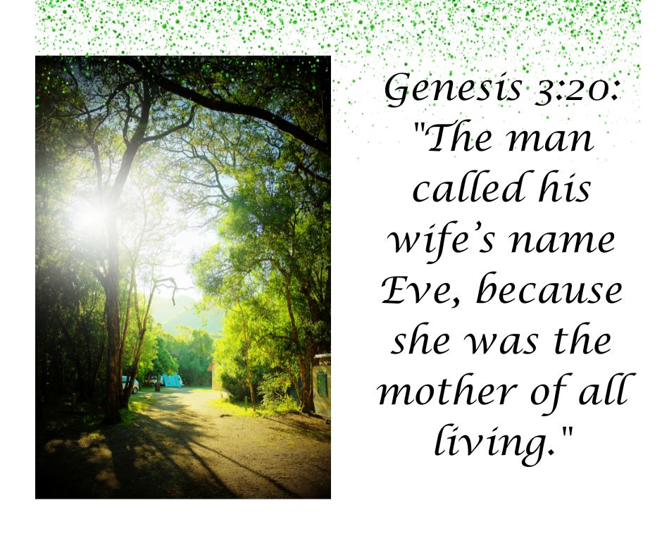 Monday Inspirational Words 📷📷📷
Stay encouraged 📷📷📷

#dailydevotional #bibleverse #MondayMotivation  #genesis #mothersday2024