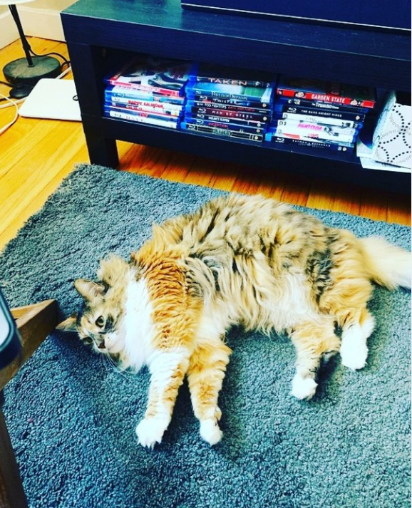 ameliadaisy96's tweet photo. Suggest best caption 🤣📷 https://t.co/t7nzIxJ7s7