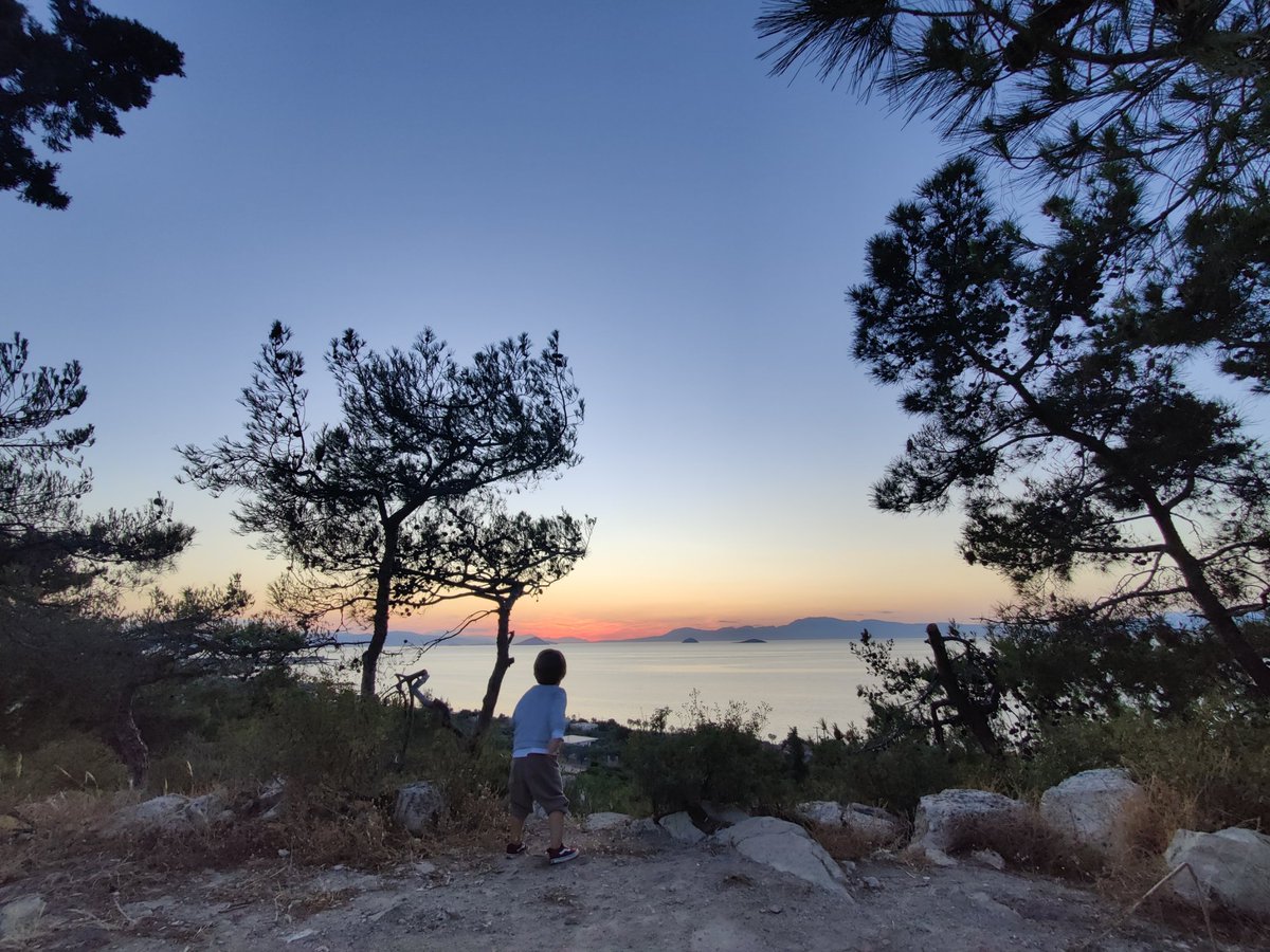 Duke de Vries ⚓ tweet media