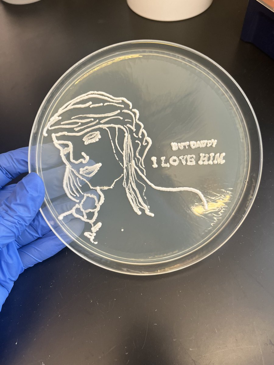 But Daddy I Love Him #TSTTPD #AgarArt @taylornation13