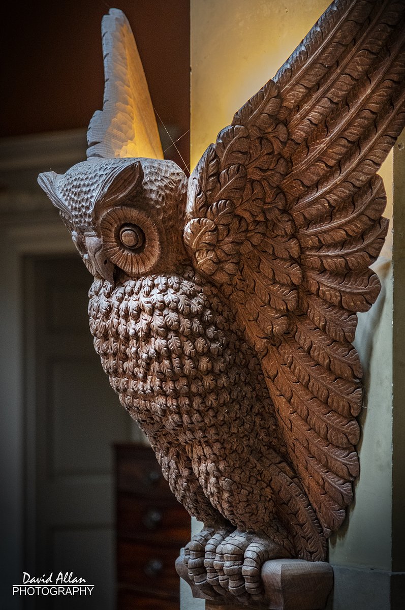 A carved owl looks down from it's lofty perch in Wallington Hall, Northumberland. I believe owls were an emblem of the property's 'Trevelyan' family (please correct me if I'm wrong)... @nationaltrust @discovernland @VisitNland @NorthEastTweets @VisitEngland @VisitBritain