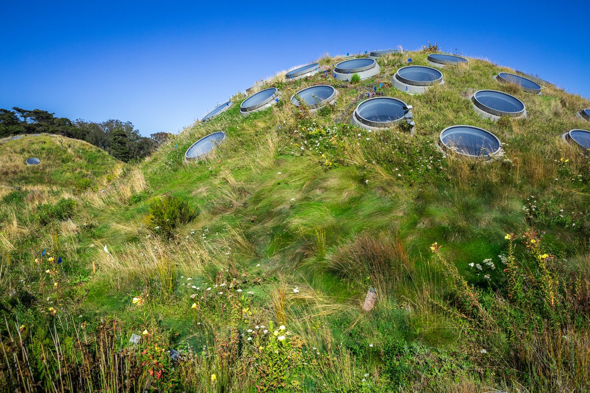 Rolling hills & fields cover 87% of @calacademy's 2.5-acre rooftop, offering a home to local wildlife while keeping the Academy green in more ways than one. Weather stations on the roof monitor wind, rain & changes in temperature! #IMLSmedals📸: Gayle Laird