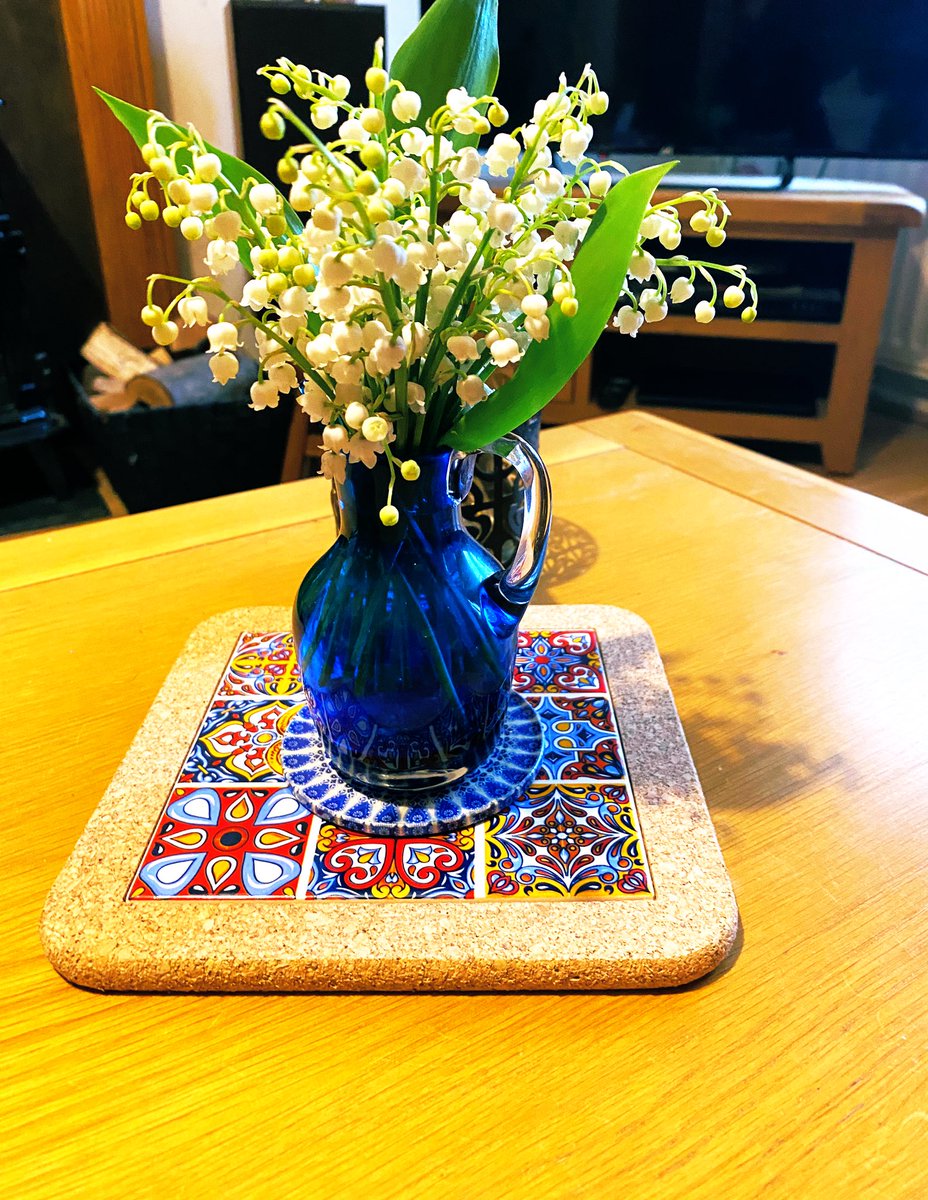 Good evening everyone 🥰👋
It a pleasure to report this 
lovely act of kindness…
Sprigs of Lily of the valley ..a gift from a neighbour..perfect for the pretty blue jug found in Oxfam
Hope you’ve had a day full of pleasant surprises day too!
#randomactsofkindness