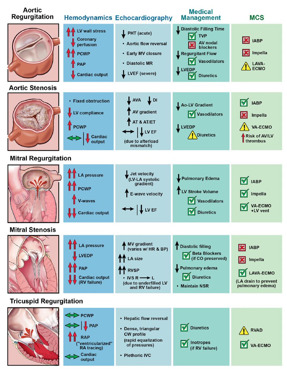 VALVULOPATÍAS AGUDAS Excelente Cuadro ✍🏽 🔴Hemodinamia 🔴#EchoFirst 🔴Manejo médico 🔴Uso dispositivos de asistencia sciencedirect.com/science/articl…