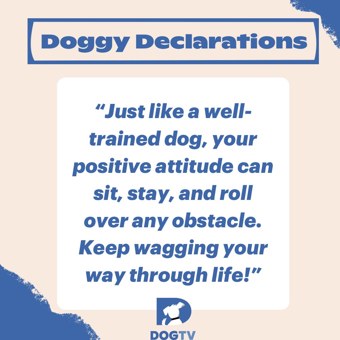 Optimism is our faithful friend, ever ready to lead us over life's hurdles! Keep your  positivity wagging and conquer the world.🐶

#mondaymantra  #pawsitivevibes  #mondaymood  #petparents  #dogsofinstagram  #uplifitngquotes  #dogtv