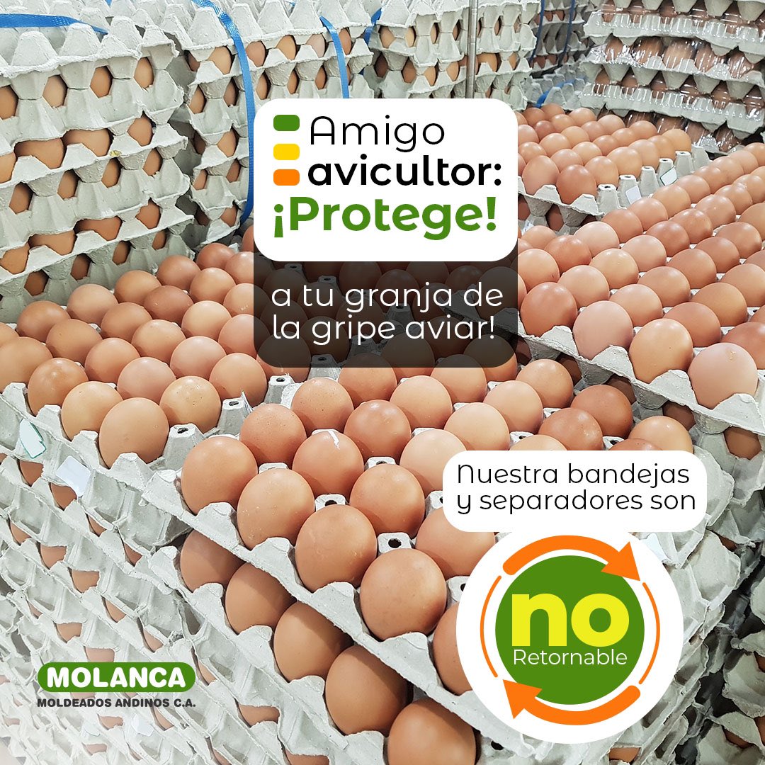 Los cartones para huevos están elaborados en pulpa de fibra celulosa 100% ecológicos y biodegradables.​

Se deben usar una sola vez para lo que fueron creados: el transporte seguro de los huevos desde la granja hasta los mercados y hogares.