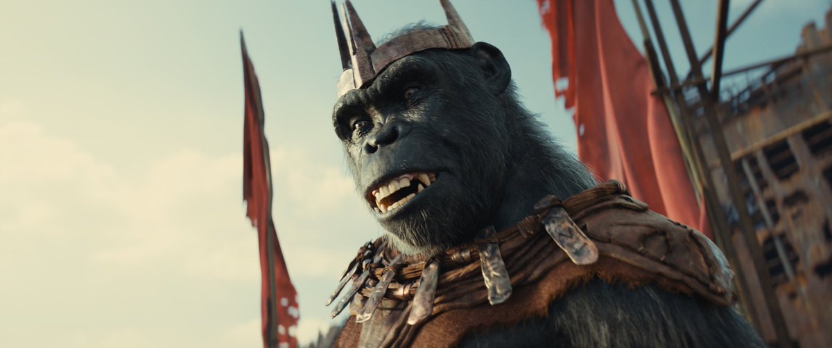 RayyanKx's tweet image. Went into #KingdomOfThePlanetOfTheApes not excited, but loved it! It does take some time to get going, but when it does it’s relentless gripping drama and action. Loved the questions of morality it asked. All done in a well shot, thought out package with breathtaking visuals!