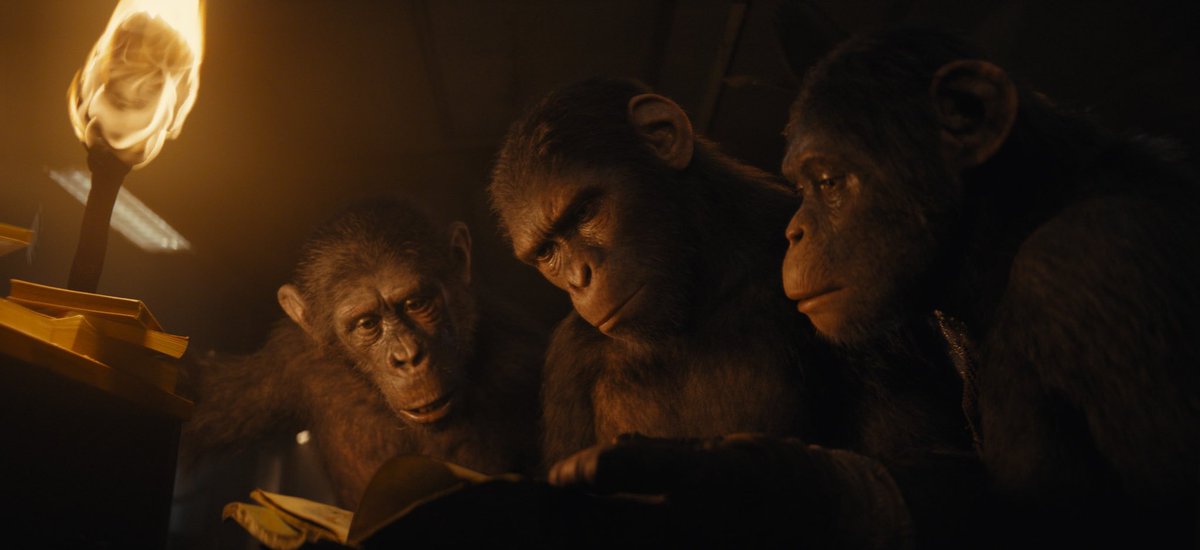 RayyanKx's tweet image. Went into #KingdomOfThePlanetOfTheApes not excited, but loved it! It does take some time to get going, but when it does it’s relentless gripping drama and action. Loved the questions of morality it asked. All done in a well shot, thought out package with breathtaking visuals!