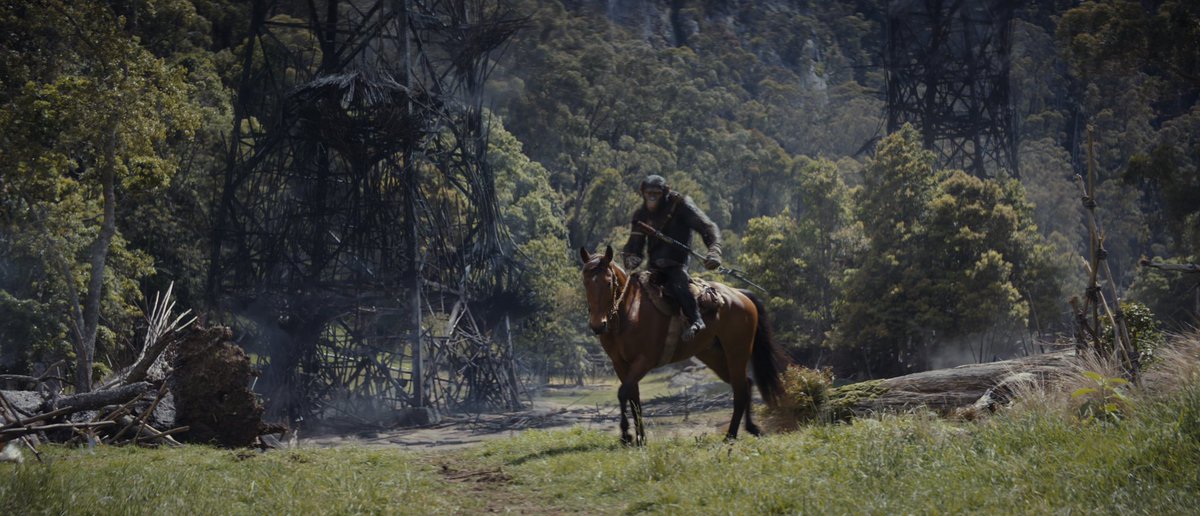 RayyanKx's tweet image. Went into #KingdomOfThePlanetOfTheApes not excited, but loved it! It does take some time to get going, but when it does it’s relentless gripping drama and action. Loved the questions of morality it asked. All done in a well shot, thought out package with breathtaking visuals!