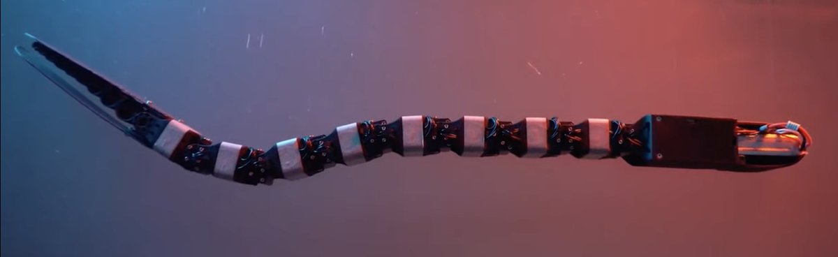 #galleryoffluidmotion
Check out the study on 1-guilla, the robotic eel, in this video-&gt;youtu.be/WQwj6pWLDsw by A. Anastasiadis, A. Rossi, L. Paez, K. Melo, E. D. Tytell, A. J. Ijspeert and K. Mulleners @UNFoLD_EPFL <a href="/BIOROB_EPFL/">Auke Ijspeert</a> <a href="/KMRoBoTa/">KMRoBoTa</a> <a href="/TuftsUniversity/">Tufts University</a>
#apsdfd #fluiddynamics