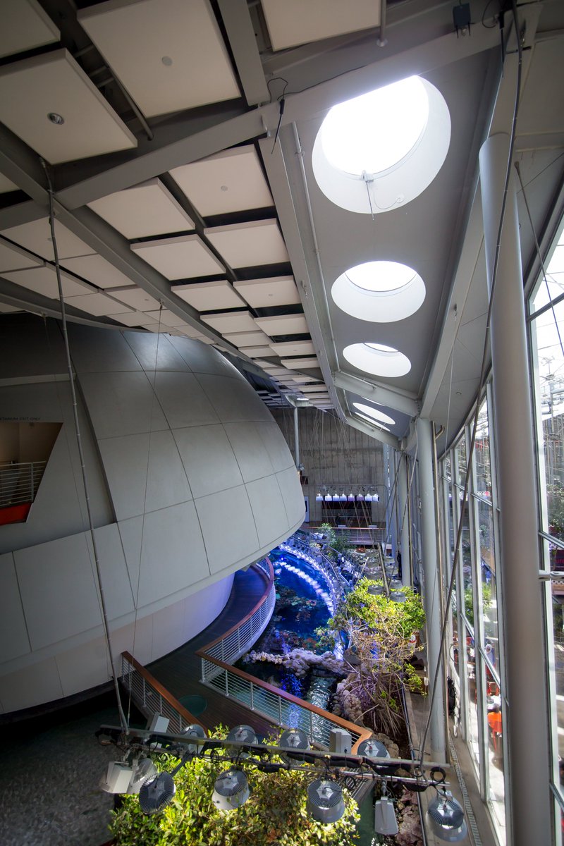 .@calacademy's 75-foot dome encasing the Morrison Planetarium immerses visitors inside cutting-edge visualizations & hyper-realistic virtual environments.💫From faraway galaxies to the workings of our own planet, experience the cosmos like never before. #IMLSmedals📸: Gayle Laird