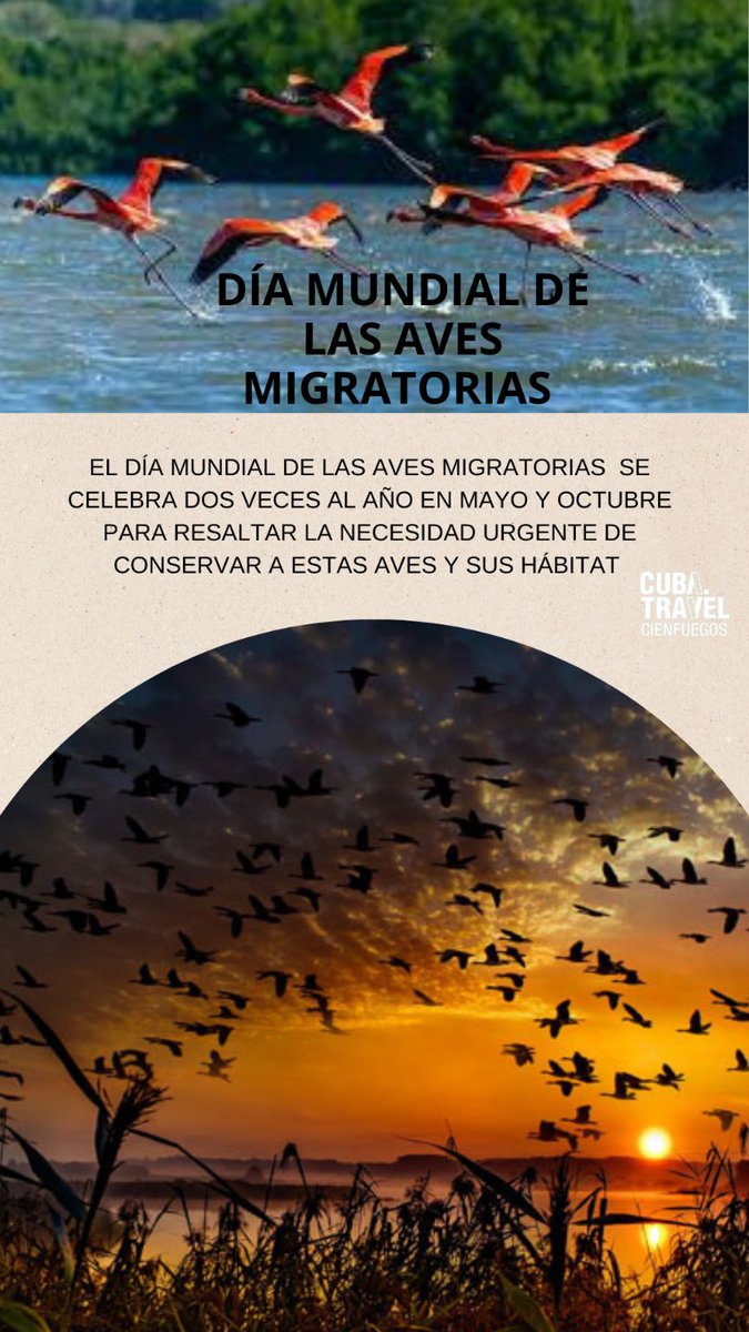 “Las Aves conectan nuestro mundo”,💚Hoy celebramos el Día Mundial de las Aves Migratorias. #CubaTravel #InfoturCienfuegos #CubaUnica #CubaÚnica