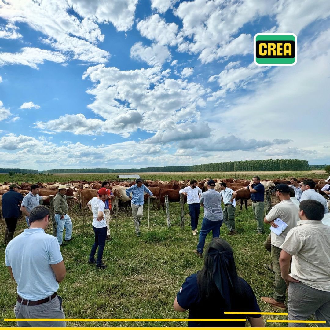 CreaParaguay's tweet photo. Los miembros de 𝐂𝐑𝐄𝐀 𝐅𝐨𝐫𝐞𝐬𝐭𝐚𝐥 visitaron días pasados la 𝐄𝐬𝐭𝐚𝐧𝐜𝐢𝐚 𝐍̃𝐞𝐦𝐢𝐭𝐲 𝐞𝐧 𝐂𝐚𝐚𝐳𝐚𝐩𝐚́. En la oportunidad se analizó la gestión de la empresa y se conoció de cerca los trabajos de poda, cosecha mecanizada y plantaciones en sistema silvopastoril. https://t.co/WUPppwtvge
