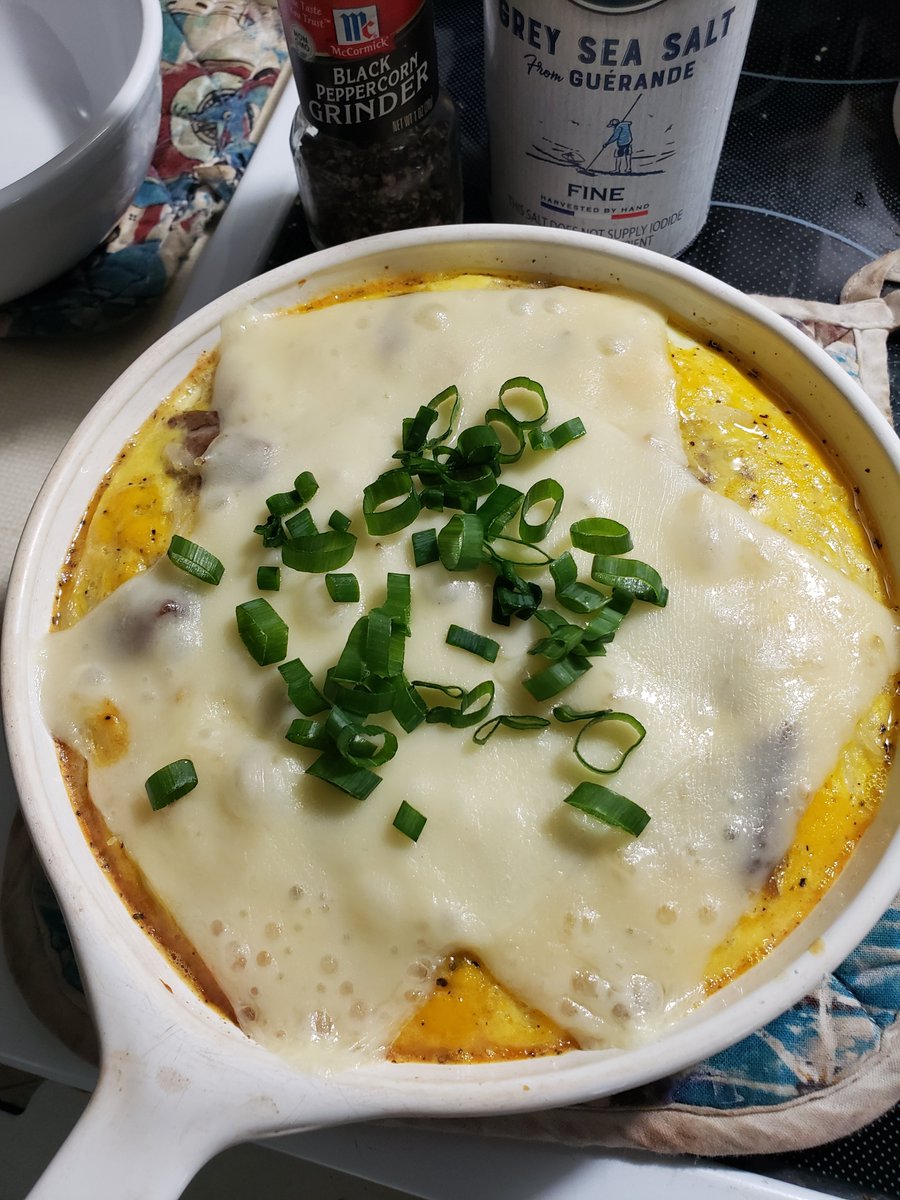 covertress's tweet image. Lamb and Rice Fritatta 🍳 
with carrots, celery, salt, pepper, and topped with Borden Swiss Cheese and homegrown green onion 😋 My secret to fancy dishes?—pre-cooked ingredients in the fridge, ready to deliver #cookingforone