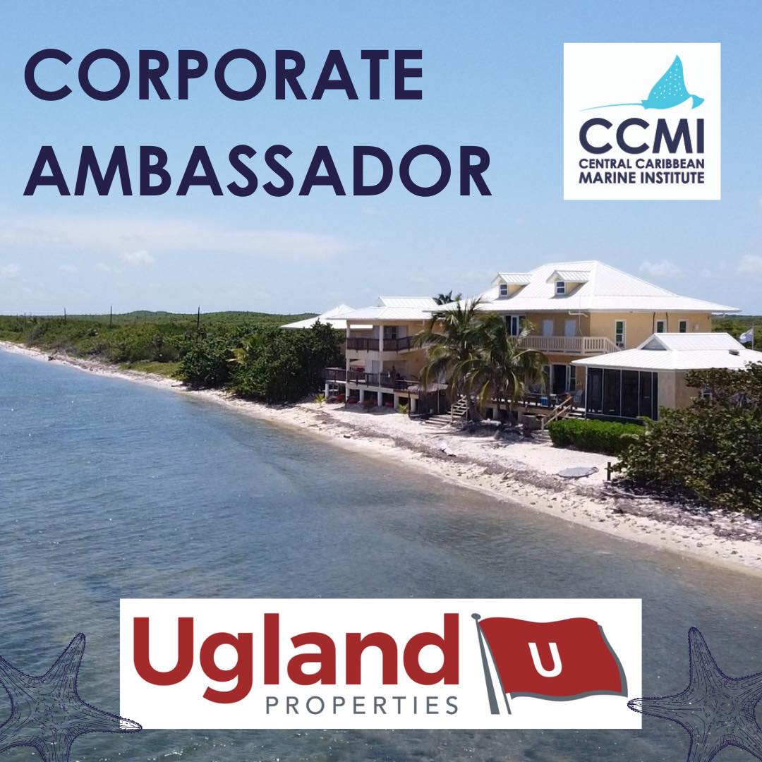 reefresearch's tweet image. Thank you to Ugland Properties for becoming CCMI's newest Corporate Ambassador!

As a VIP donor, they commit to supporting our work for 4 years, sustaining ongoing efforts for the long-term.

Thanks for joining our Corporate VIP donor family! 
#ESG #CoralReefs #CommunityPartner