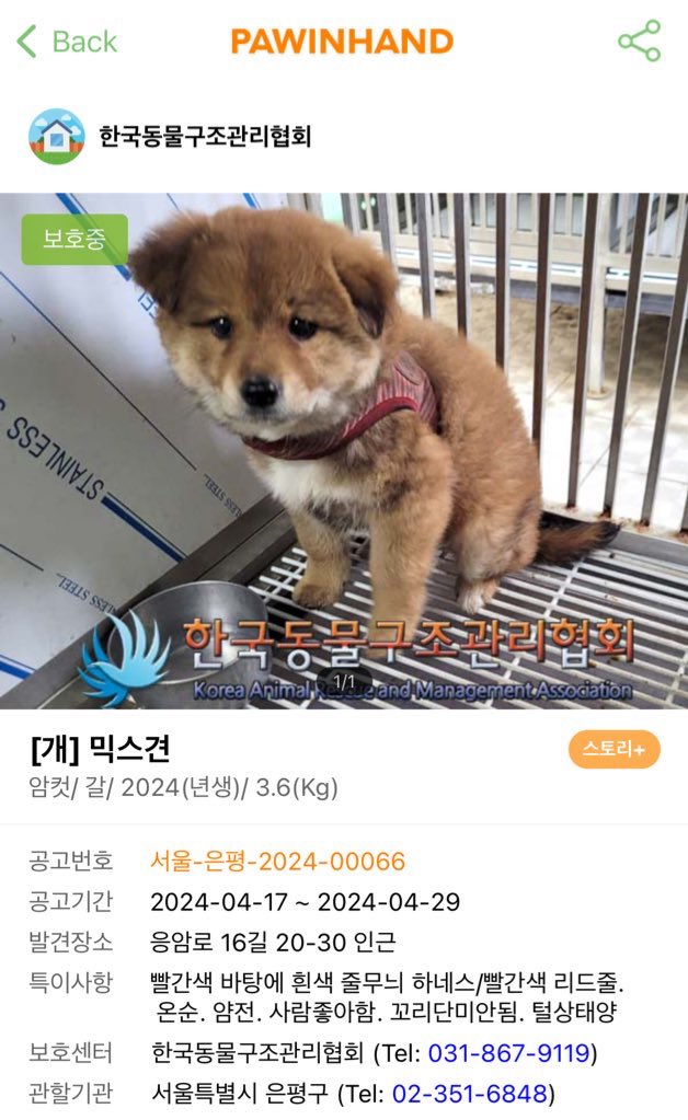 공고기간 지난 아이인데 아직 보호중이에요
주눅들어있는 모습이 너무 맘아픕니다
한 번만 관심가져주세요
pawinhand.kr/link/linker.ht…