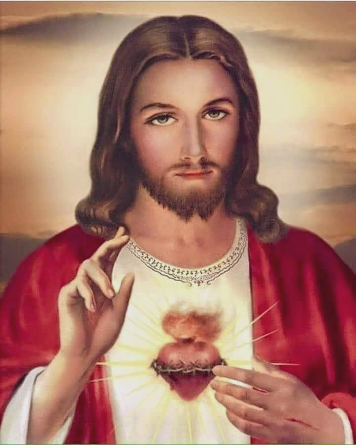 Most Sacred Heart of Jesus, have mercy on us