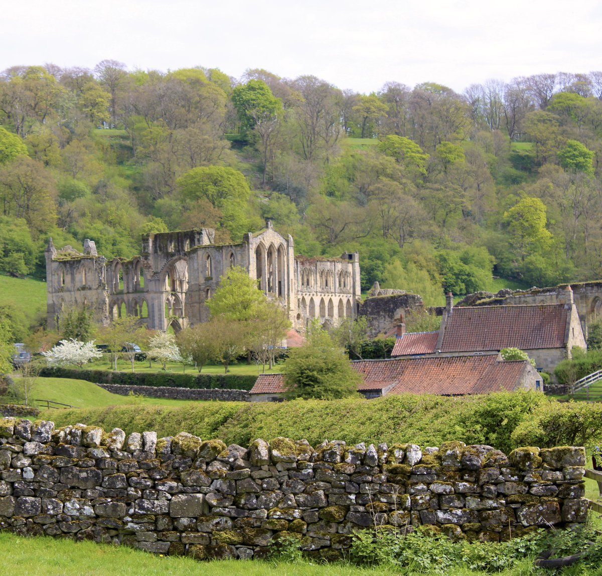 Rievaulx Abbey this beautiful Bank Holiday. No better place to spend a sunny day than in the North York Moors National Park.