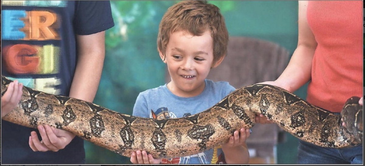 The Sawyer Free Library in MA offers young patrons opportunities during Garden Storytime learning about gardening & Rainforest Reptiles offering fun facts about rainforest habitats, reptiles & animal species! #IMLSmedals 📸: Paul Bilodeau
