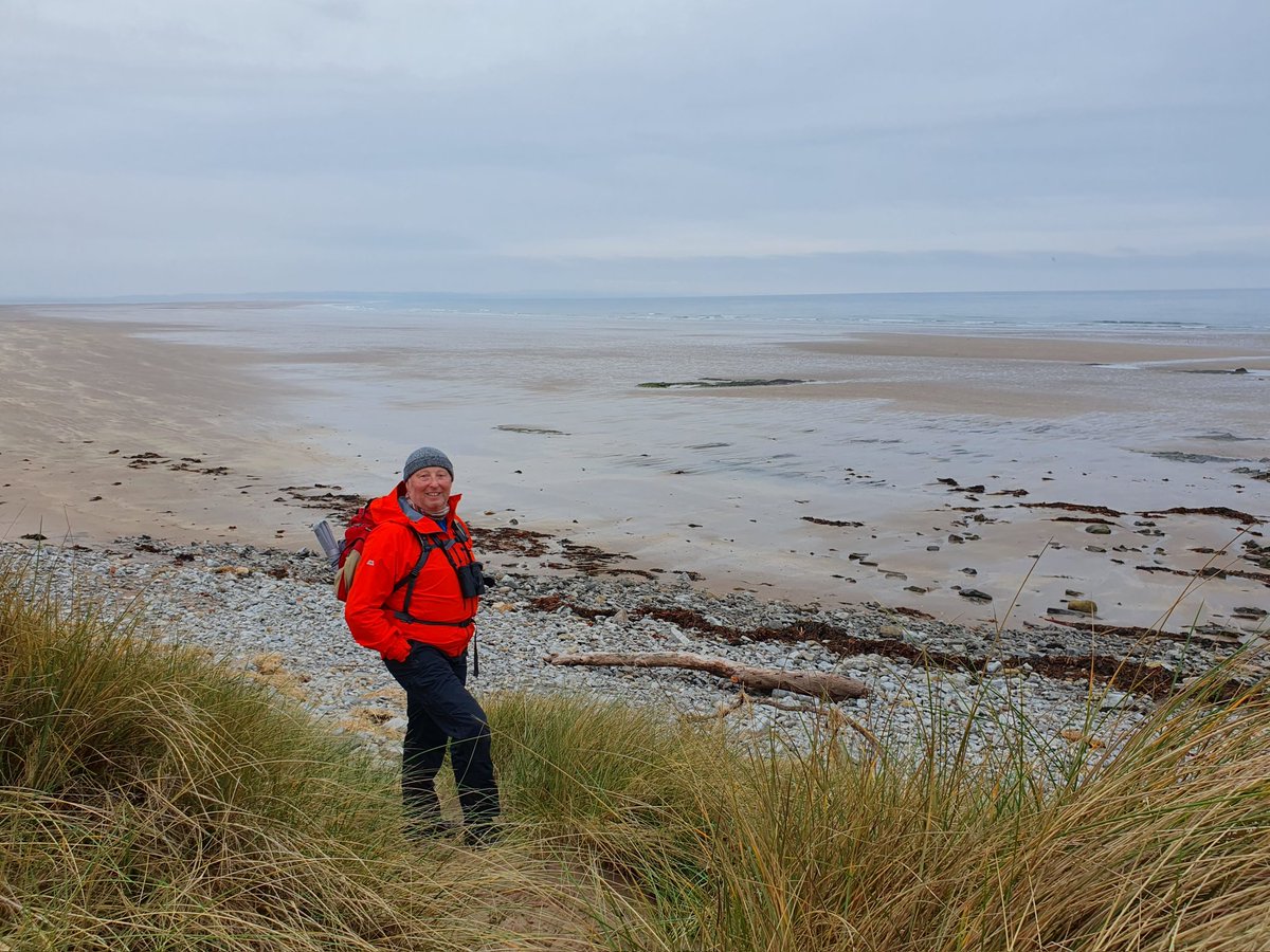 A gorgeous day on Holy Island. 🌊 🦌 🐦 #Northumberland