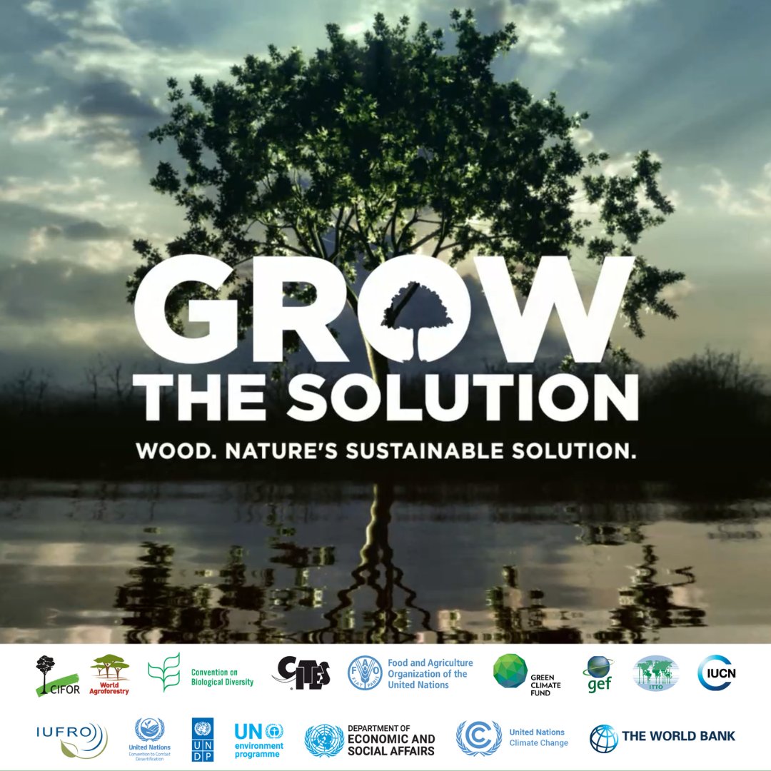 The #CPForests Communicators Network launched a new initiative at #UNFF19 today to encourage greater use of products made from sustainably grown wood as a key strategy for combating #ClimateChange. Together we can #GrowTheSolution! 👉 bit.ly/3JQpHPZ #CPForests #UNFF19